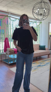 Velvet Puff Short Sleeve Top